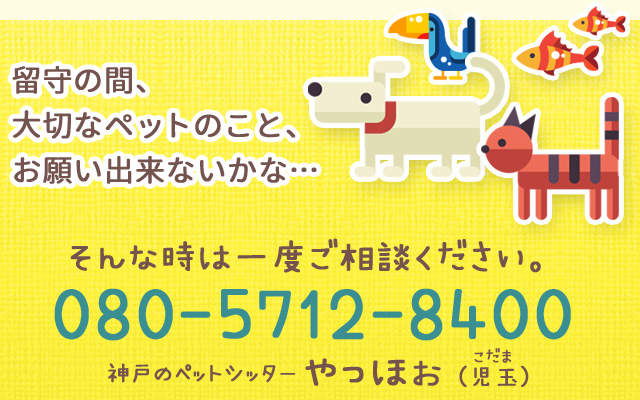 神戸のペットシッターやっほぉ。須磨区、長田区、兵庫区、北区、垂水区等でペット（犬、猫、小動物）のお世話を代行します。